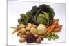 Various Types of Root Vegetables, Turnips and Cabbage-Eising Studio - Food Photo and Video-Mounted Photographic Print