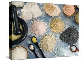 Various Types of Salt-Nico Tondini-Stretched Canvas