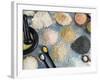 Various Types of Salt-Nico Tondini-Framed Photographic Print