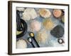 Various Types of Salt-Nico Tondini-Framed Photographic Print