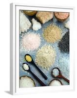 Various Types of Salt-Nico Tondini-Framed Premium Photographic Print