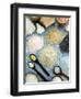 Various Types of Salt-Nico Tondini-Framed Photographic Print