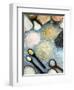 Various Types of Salt-Nico Tondini-Framed Photographic Print