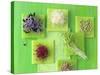 Various Types of Sprouts and Sprouted Seeds-Jan-peter Westermann-Stretched Canvas