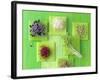 Various Types of Sprouts and Sprouted Seeds-Jan-peter Westermann-Framed Photographic Print