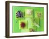 Various Types of Sprouts and Sprouted Seeds-Jan-peter Westermann-Framed Photographic Print