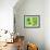 Various Types of Sprouts and Sprouted Seeds-Jan-peter Westermann-Framed Photographic Print displayed on a wall