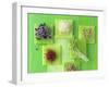 Various Types of Sprouts and Sprouted Seeds-Jan-peter Westermann-Framed Photographic Print