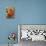 Various Types of Tomatoes in Colander on Table Out of Doors-null-Photographic Print displayed on a wall