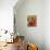 Various Types of Tomatoes in Colander on Table Out of Doors-null-Photographic Print displayed on a wall