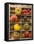 Various Types of Tomatoes in Type Case-null-Framed Stretched Canvas