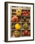 Various Types of Tomatoes in Type Case-null-Framed Photographic Print