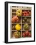 Various Types of Tomatoes in Type Case-null-Framed Photographic Print