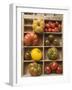 Various Types of Tomatoes in Type Case-null-Framed Photographic Print