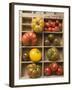 Various Types of Tomatoes in Type Case-null-Framed Photographic Print