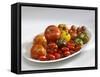 Various Types of Tomatoes on a Platter-Karl Newedel-Framed Stretched Canvas