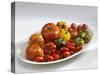 Various Types of Tomatoes on a Platter-Karl Newedel-Stretched Canvas