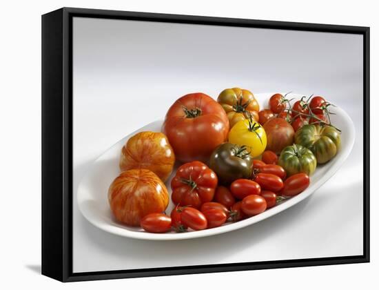 Various Types of Tomatoes on a Platter-Karl Newedel-Framed Stretched Canvas