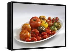 Various Types of Tomatoes on a Platter-Karl Newedel-Framed Stretched Canvas