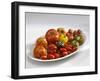 Various Types of Tomatoes on a Platter-Karl Newedel-Framed Photographic Print