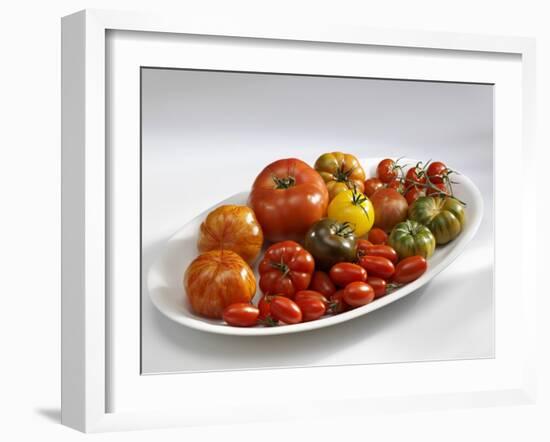Various Types of Tomatoes on a Platter-Karl Newedel-Framed Photographic Print