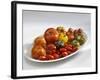 Various Types of Tomatoes on a Platter-Karl Newedel-Framed Photographic Print