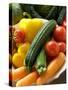 Various Types of Vegetables-Foodcollection-Stretched Canvas