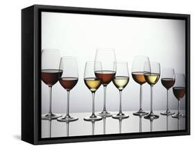 Various Types of Wine in Glasses-null-Framed Stretched Canvas