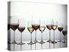 Various Types of Wine in Glasses-null-Stretched Canvas