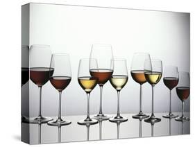 Various Types of Wine in Glasses-null-Stretched Canvas