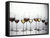 Various Types of Wine in Glasses-null-Framed Stretched Canvas