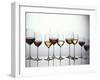 Various Types of Wine in Glasses-null-Framed Photographic Print