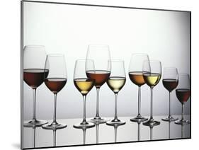 Various Types of Wine in Glasses-null-Mounted Photographic Print