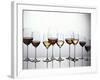 Various Types of Wine in Glasses-null-Framed Photographic Print