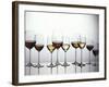 Various Types of Wine in Glasses-null-Framed Photographic Print