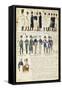 Various Uniforms of Grand Duchy of Tuscany, Color Plate, 1816-null-Framed Stretched Canvas