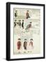 Various Uniforms of the Duchy of Parma, Piacenza and Guastalla, 1790-1800-null-Framed Giclee Print