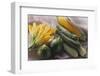 Various Varieties of Courgettes and Courgette Flowers-Eising Studio - Food Photo and Video-Framed Photographic Print