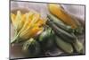 Various Varieties of Courgettes and Courgette Flowers-Eising Studio - Food Photo and Video-Mounted Photographic Print