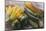 Various Varieties of Courgettes and Courgette Flowers-Eising Studio - Food Photo and Video-Mounted Photographic Print