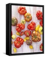 Various Varieties of Tomatoes-Oliver Brachat-Framed Stretched Canvas