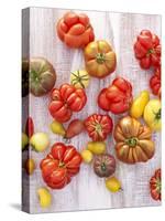 Various Varieties of Tomatoes-Oliver Brachat-Stretched Canvas