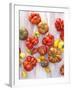 Various Varieties of Tomatoes-Oliver Brachat-Framed Photographic Print