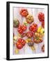 Various Varieties of Tomatoes-Oliver Brachat-Framed Photographic Print