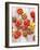 Various Varieties of Tomatoes-Oliver Brachat-Framed Photographic Print