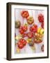 Various Varieties of Tomatoes-Oliver Brachat-Framed Photographic Print