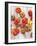 Various Varieties of Tomatoes-Oliver Brachat-Framed Photographic Print