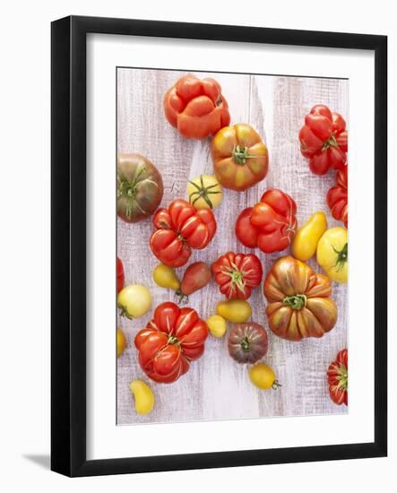 Various Varieties of Tomatoes-Oliver Brachat-Framed Photographic Print