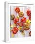 Various Varieties of Tomatoes-Oliver Brachat-Framed Photographic Print