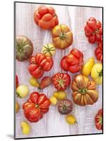 Various Varieties of Tomatoes-Oliver Brachat-Mounted Photographic Print